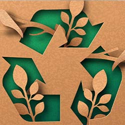 Sustainable eco-friendly packaging solutions by IPSC
