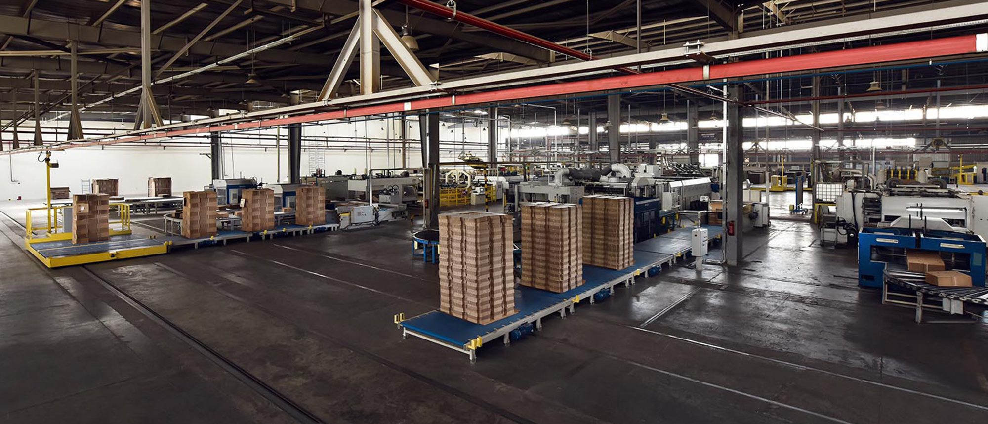 Flexo and offset printed packaging boxes produced by IPSC
